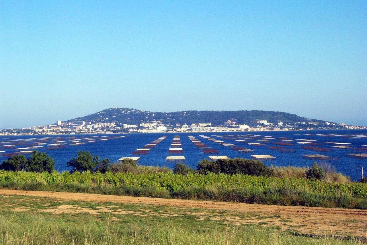 Апартаменты Port Mezua Мезе Экстерьер фото